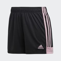 Шорты Tastigo 19 adidas Performance