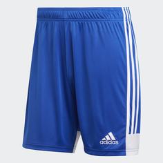 Шорты Tastigo 19 adidas Performance