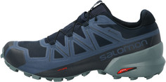 Кроссовки мужские Salomon Speedcross 5 Gtx, размер 46