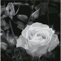 Картина по номерам Котеин "Белая роза", 30х30 см