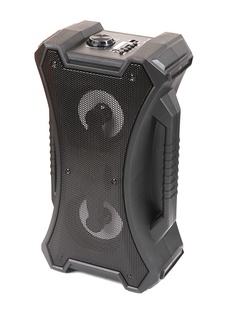 Колонка Eltronic ZQS-4213ch Black