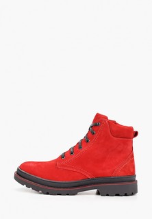 Ботинки Alessio Nesca 