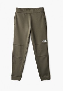 Брюки спортивные The North Face B SURGENT PANT