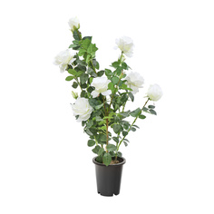 Роза в кашпо Tianjin белая искусственная 102 см
