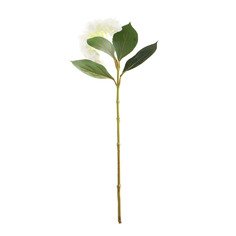 Цветок искусственный Dpi гортензия 67см кремовый