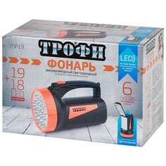 Прожекторный фонарь ТРОФИ