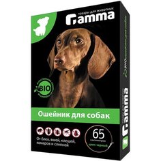 Ошейник для собак средних пород Gamma Гамма