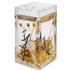 Стакан для зубных щеток VANSTORE