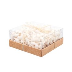 Набор ракушек в коробке №5 9,5x9,5x4,5 cм Без бренда