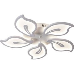 Потолочная люстра J-Light Fauna 5513/100C
