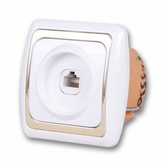 Розетка Дельта компьютерная белая с золотом Rev