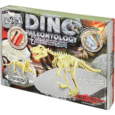 Набор для проведения раскопок Danko Toys Dino Paleontology