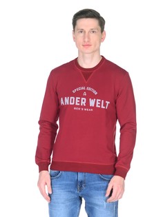 Джемпер свитшот Ander Welt