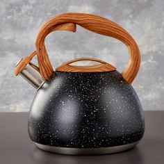 Чайник со свистком stone, 2,7 л, ручка soft-touch, индукция, цвет чёрный Magistro