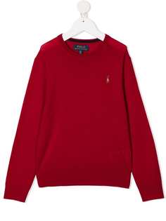 Ralph Lauren Kids трикотажный топ с длинными рукавами