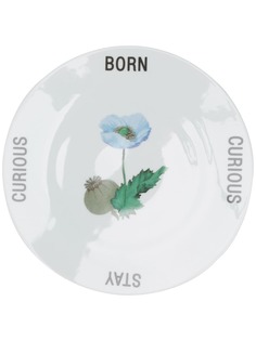 Reception тарелка Born Curious 27 см