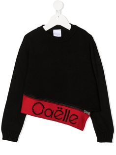 Gaelle Paris Kids толстовка с длинными рукавами и логотипом