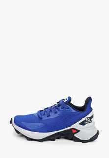 Кроссовки Salomon ALPHACROSS BLAST J