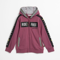 Толстовка Coccodrillo