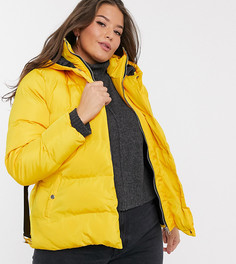Желтое пальто-пуховик с поясом Simply Be-Желтый