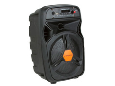 Колонка Eltronic BS6-01