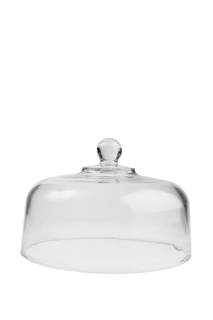 Купол 26х17 см T&G TG