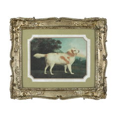 Картина Glasar в прямоугольной раме белая собака, смотрящая вправо, 27x2x32 см ГЛАСАР