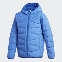 Пуховик Frosty adidas Sportswear