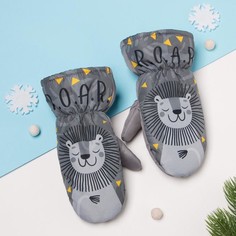 Варежки Kaftan