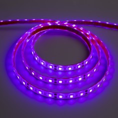 Светодиодная лента 12в, smd5050, 5 м, ip68, 60 led, 14.4 вт/м, 14-16 лм/1 led, dc, фиолетовый Luazon Lighting