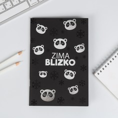Тетрадь с чёрными листами zima blizko, 32 листа Art Fox