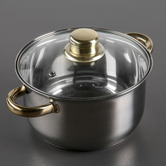 Кастрюля доляна