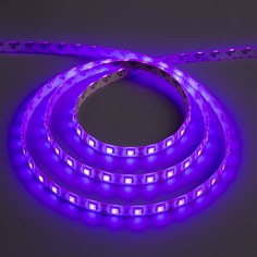 Светодиодная лента 12в, smd5050, 5 м, ip65, 60 led, 14.4 вт/м, 14-16 лм/1 led, dc, фиолетовый Luazon Lighting
