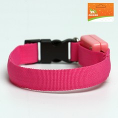 Ошейник светящийся узкий для небольших собак, 26 х 1,5 см, розовый Пижон