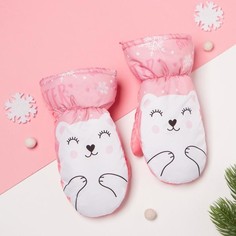 Рукавицы варежки Kaftan