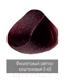 Nirvel, Краска для волос ArtX (палитра 129 цветов), 60 мл 5-65 Фиолетовый светло-каштановый