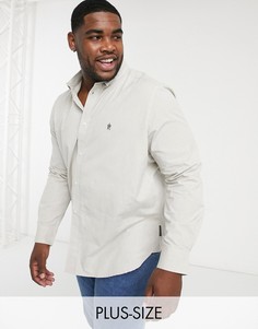 Светло-бежевая оксфордская рубашка на пуговицах с логотипом French Connection Plus-Серый