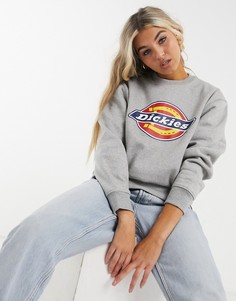 Серый свитшот Dickies Pittsburgh