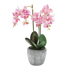 Орхидея искусственная Fuzhou light в горшке 54 см