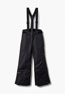 Брюки утепленные Icepeak 