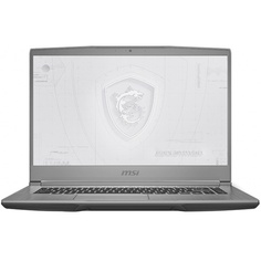 Ноутбук MSI WF65 10TJ-289RU Gray (9S7-16R424-289)