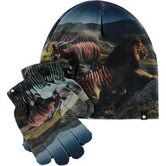 Комплект Molo: шапка и перчатки