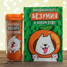 Набор: ежедневник+термостакан Зимнее волшебство