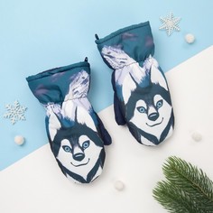 Рукавицы варежки Kaftan