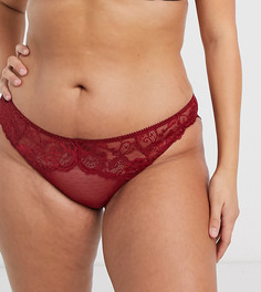Красные бразильские трусы из кружева ASOS DESIGN Curve Arabella-Красный