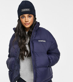 Темно-синий пуховик Napapijri Box эксклюзивно на ASOS