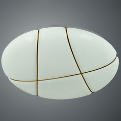 Светильник потолочный Arte lamp led a2677pl-72go