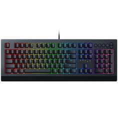 Игровая клавиатура Razer Cynosa V2 (RZ03-03400700-R3R1) Cynosa V2 (RZ03-03400700-R3R1)