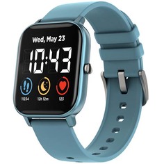 Смарт-часы Canyon Wildberry (CNS-SW74BL) Wildberry (CNS-SW74BL)