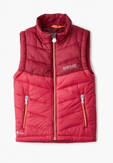 Жилет утепленный Regatta Jnr Freezwy II BW